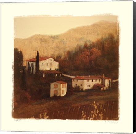 Framed Villa II Print