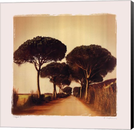 Framed Viaggio I Print