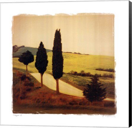 Framed Viaggio II Print