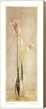 Framed Quiet Light II Print