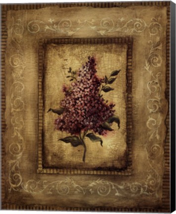 Framed Savin Lilac Print