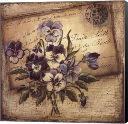 Framed Paris Violets Print