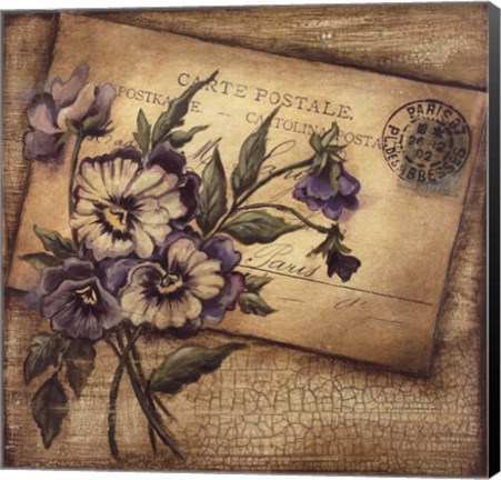 Framed Paris Pansies Print