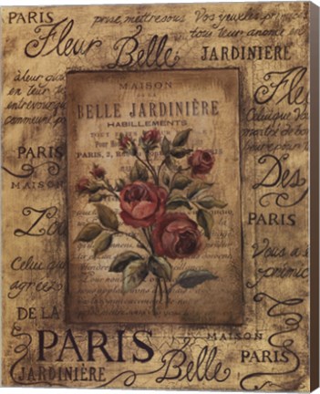 Framed Bel Bouquet II Print