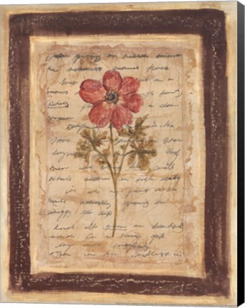 Framed Garden Notes I Print