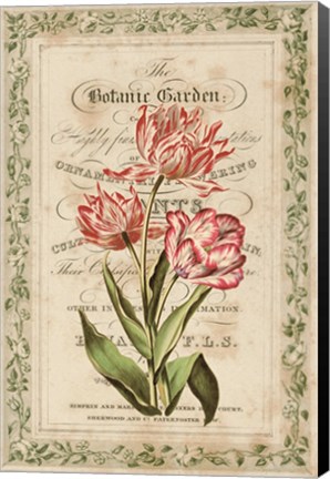 Framed Botanic Garden Print