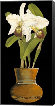 Framed Orchids in Pot I Print