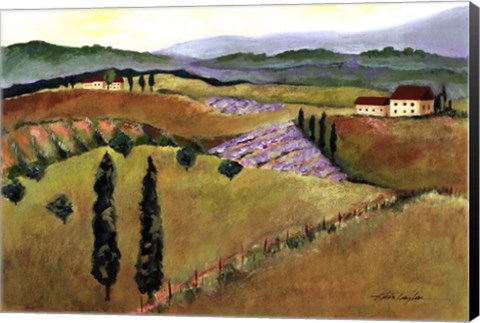 Framed Tuscany Afternoon I Print