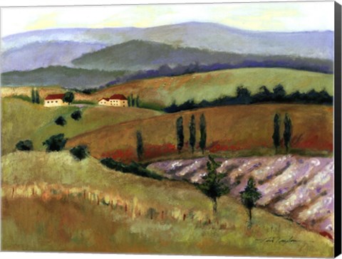 Framed Tuscany Afternoon II Print