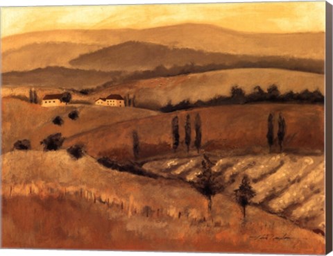 Framed Golden Tuscany Afternoon II Print