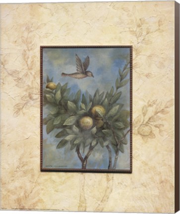 Framed Giardino II Print