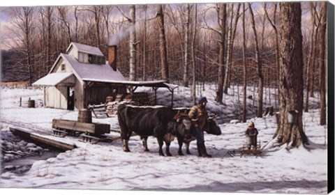 Framed Sugar Bush Print