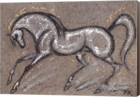 Framed Morning Star Print