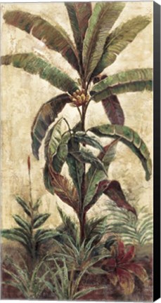 Framed Exotic Palms II Print