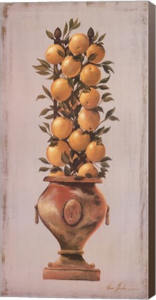 Framed Trellis and Urn I Print