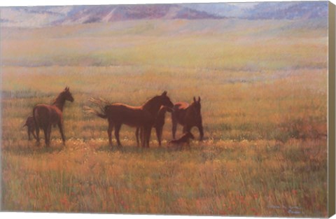 Framed Mares and Foals Print