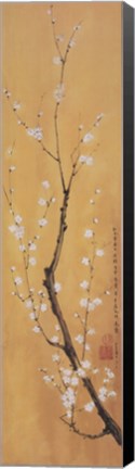 Framed Cherry Blossom II Print