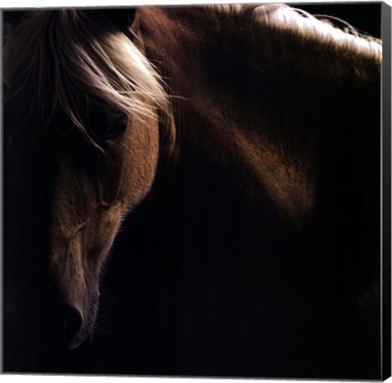 Framed Spirit Horse Print