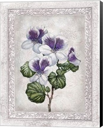 Framed Flowers of Spring II Print