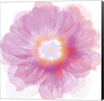 Framed Fleur Rose Print