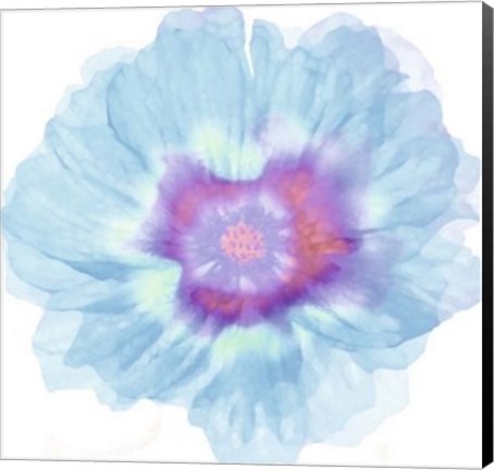 Framed Fleur Bleue Print