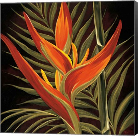 Framed Birds of Paradise I Print