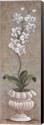 Framed Lavish Orchids I Print