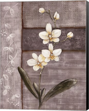 Framed Orchid Shimmer I Print