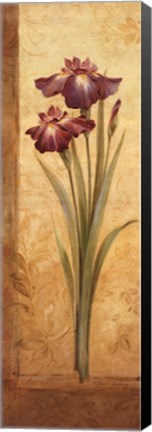 Framed Grandiflora I Print