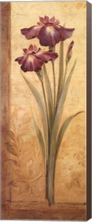 Framed Grandiflora I - mini Print