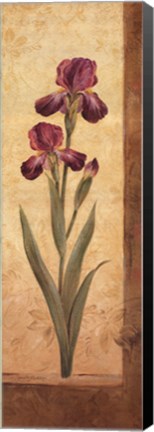 Framed Grandiflora II Print