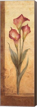 Framed Grandiflora III Print
