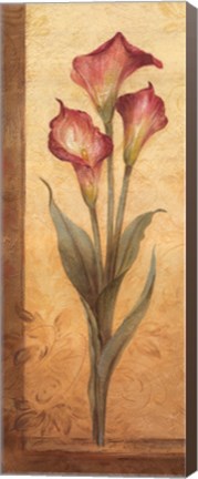 Framed Grandiflora III - mini Print