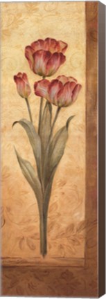 Framed Grandiflora IV Print