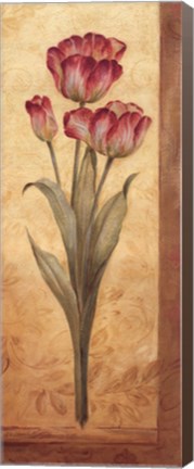 Framed Grandiflora IV - mini Print