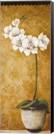 Framed Hanna's Orchids II Print