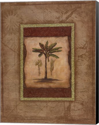 Framed Palm Botanical Study I Print