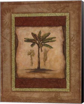 Framed Palm Botanical Study I - special Print