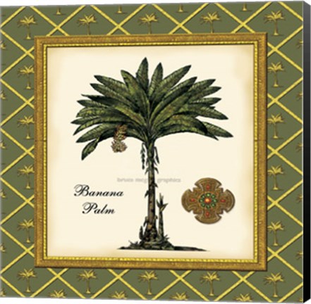 Framed Banana Palm (Green) Print