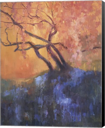 Framed Flowering Cherry Print