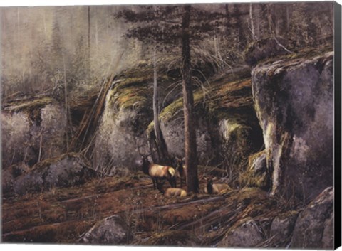 Framed In The Shadows Print