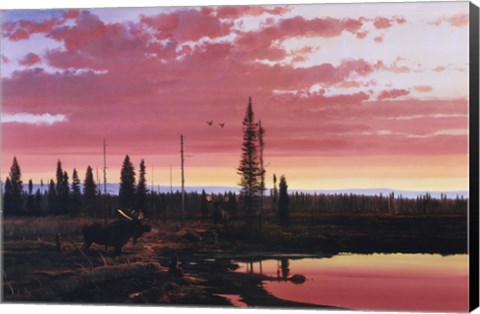 Framed Northern Sunset Print