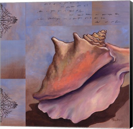 Framed Sanibel Conch Print