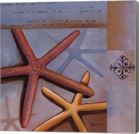 Framed Sanibel Starfish Print
