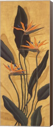 Framed Bird Of Paradise - Mini Print