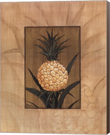 Framed Sugar Loaf Pineapple Print
