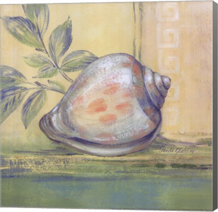 Framed Tranquil Seashells I Print