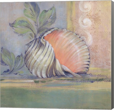 Framed Tranquil Seashells II Print