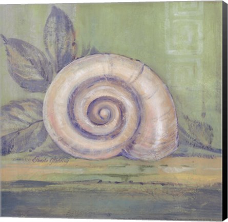 Framed Tranquil Seashell III Print