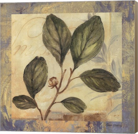 Framed Leaf Botanicals I Print
